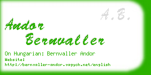 andor bernvaller business card